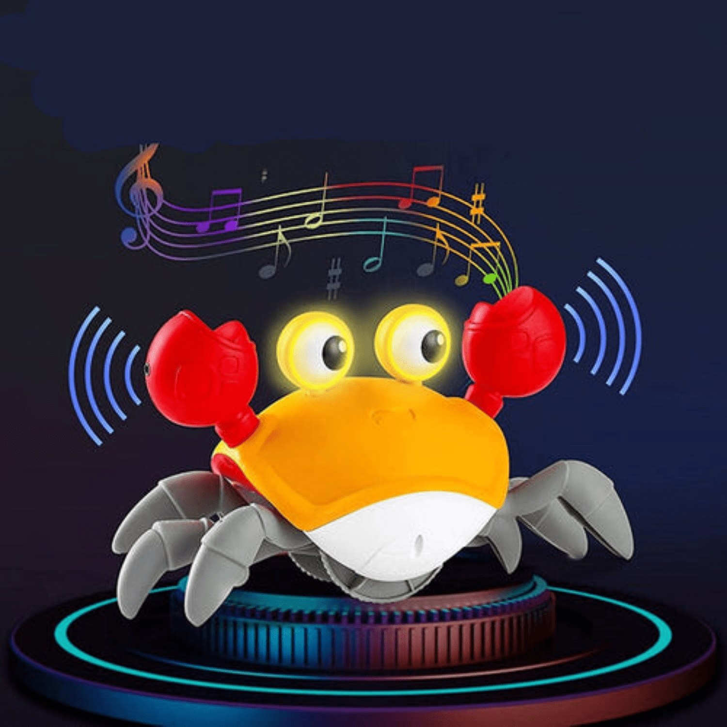 Dancing Run Away Crab